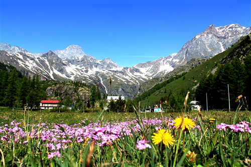 Apertura estiva della strada Balme - Pian della Mussa